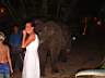 Phuket 042.JPG